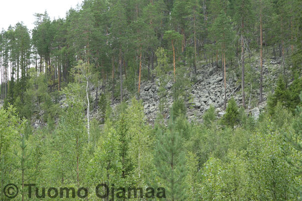 Klikkaa kuvaa nähdäksesi se täysikokoisena