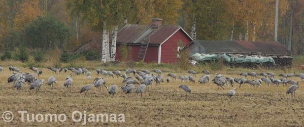Klikkaa kuvaa nähdäksesi se täysikokoisena