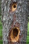 01_08_2008_4592.jpg