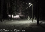 Tiedostonimi=02_01_2011_6980.jpg
Tiedostokoko=48KB
Tarkkuus=600x424
Lisätty= 2.01.2011 02_01_2011_6980.jpg