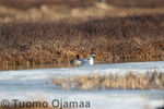 03_05_2010_0588.jpg