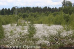 Tiedostonimi=04_06_2016_0877.jpg
Tiedostokoko=76KB
Tarkkuus=600x400
Lisätty= 6.06.2016 04_06_2016_0877.jpg