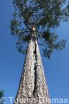 04_08_2008_4579.jpg