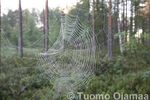 Tiedostonimi=04_08_2008_4664.jpg
Tiedostokoko=52KB
Tarkkuus=600x400
Lisätty= 4.08.2008 04_08_2008_4664.jpg