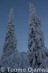 05_01_2011_7053.jpg