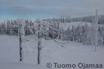Tiedostonimi=05_02_2013_4762.jpg
Tiedostokoko=80KB
Tarkkuus=600x400
Lisätty= 5.02.2013 05_02_2013_4762.jpg