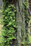 05_10_2008_6019.jpg