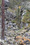 05_10_2008_6025.jpg