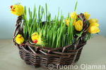 07_04_2012_9398.jpg