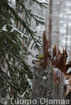 07_12_2009_8575.jpg
