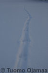 08_02_2013_4781.jpg