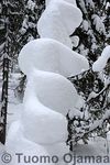 08_03_2008_974.jpg