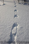 08_03_2008_977.jpg