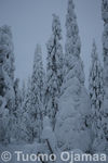09_01_2012_7954.jpg