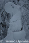 09_01_2012_7957.jpg