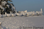 09_02_2012_8546.jpg
