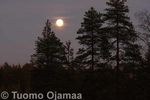 11_11_2011_6733.jpg