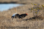 12_05_2010_0874.jpg