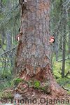 13_09_2008_5691.jpg