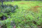 13_09_2008_5732.jpg