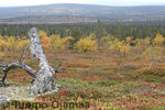 13_09_2012_2650.jpg