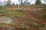 16_09_2012_2885.jpg