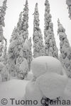 17_02_2008_680.jpg
