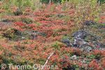 17_09_2008_5763.jpg