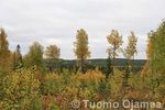 17_09_2008_5771.jpg