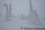 18_02_2012_8660.jpg