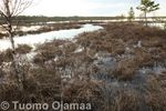 18_05_2009_0474.jpg