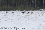Tiedostonimi=19_03_2016_9382.jpg
Tiedostokoko=52KB
Tarkkuus=600x400
Lisätty=19.03.2016 19_03_2016_9382.jpg