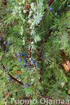 19_09_2008_5799.jpg