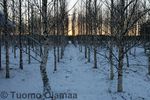 2008_01_01_413.jpg