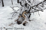 2008_01_05_0002.jpg