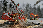 2008_01_14-217.jpg