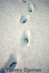 2008_01_27-406.jpg