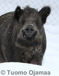 2008_02_02_459.jpg