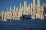 Tiedostonimi=20_02_2013_5041.jpg
Tiedostokoko=79KB
Tarkkuus=600x400
Lisätty=20.02.2013 20_02_2013_5041.jpg