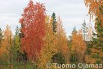 20_09_2008_5803.jpg