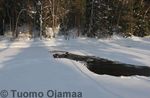 21_02_2009_8550.jpg