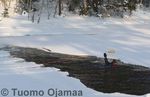21_02_2009_8561.jpg