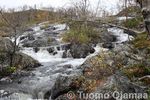 Tiedostonimi=21_09_2015_7644.jpg
Tiedostokoko=49KB
Tarkkuus=600x400
Lisätty=24.09.2015 21_09_2015_7644.jpg