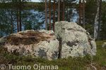 23_06_2009_1641.jpg