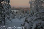 23_12_2012_3560.jpg