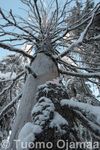 24_01_2009_7572.jpg