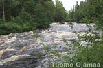 25_08_2008_5297.jpg