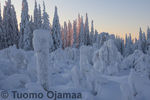 Tiedostonimi=27_01_2012_8209.jpg
Tiedostokoko=56KB
Tarkkuus=600x400
Lisätty=28.01.2012 27_01_2012_8209.jpg