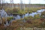Tiedostonimi=27_09_2008_5955.jpg
Tiedostokoko=68KB
Tarkkuus=600x400
Lisätty=27.09.2008 27_09_2008_5955.jpg