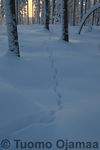 28_01_2012_8223.jpg